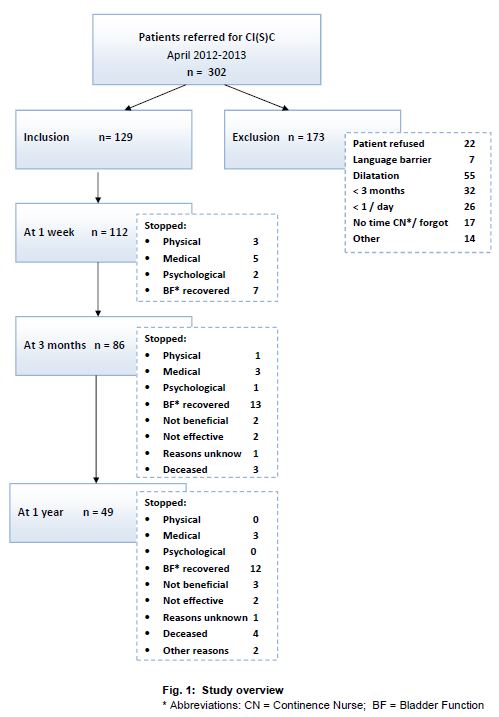 Fig. 1 Study overview