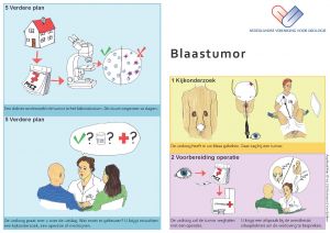 Bladder tumour leaflet NVU