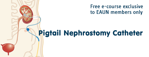 nephrostomy tube