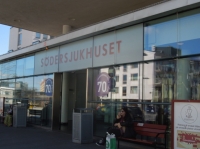 Comprehensive, informative tour of Sweden’s iconic hospital
